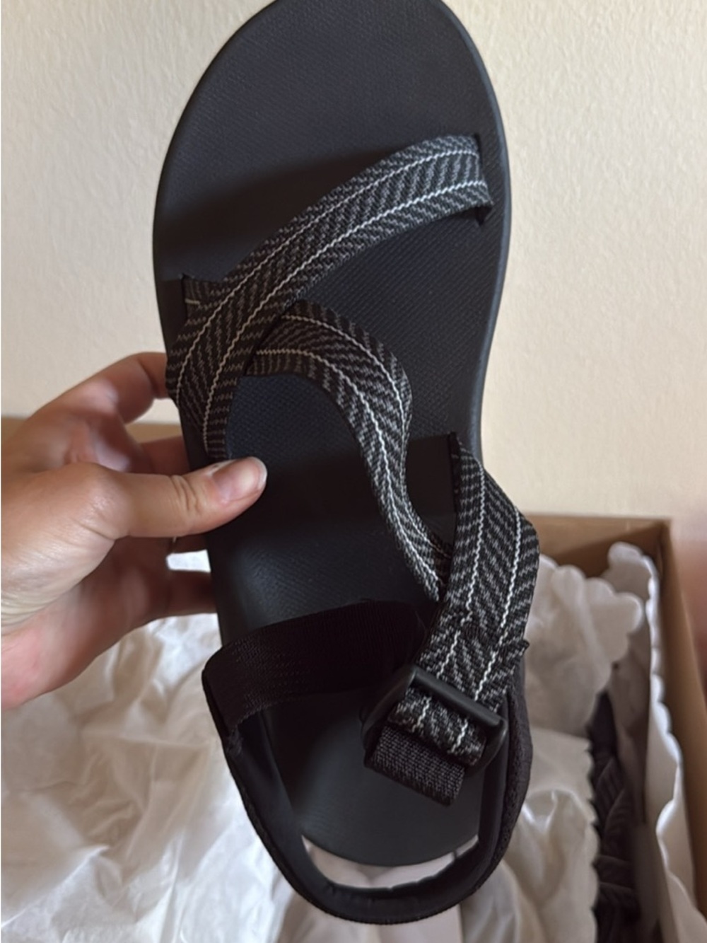Chaco Men's Frond Black Cushz Strap Sandal